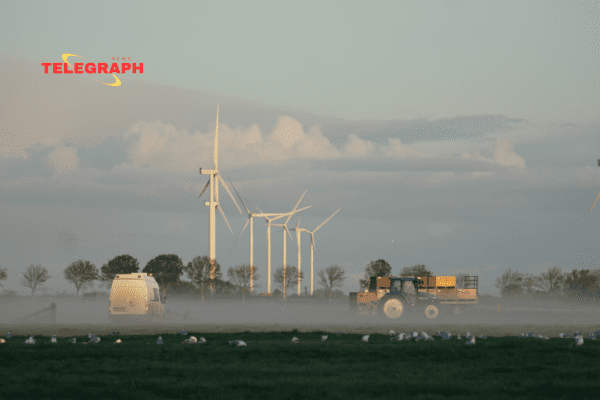 ‘Smart Cameras’ To Stop Bird Deaths From Wind Turbines 🇳🇱