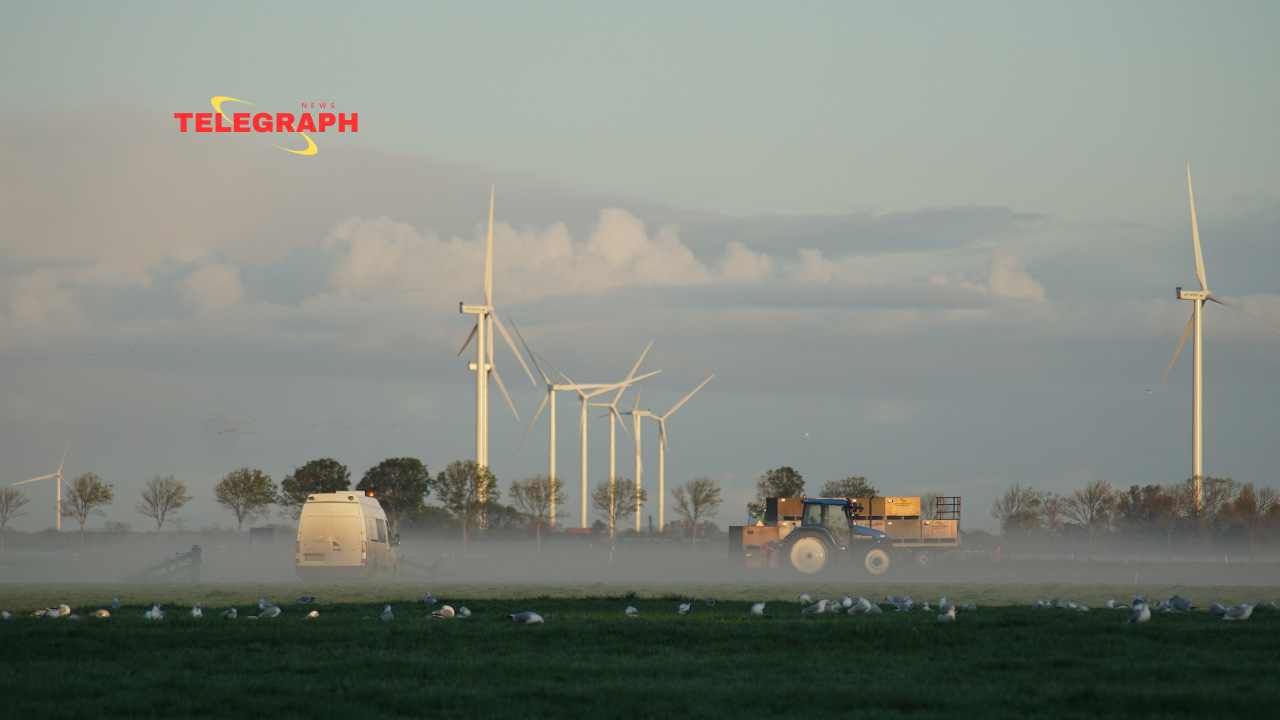 ‘Smart Cameras’ To Stop Bird Deaths From Wind Turbines 🇳🇱